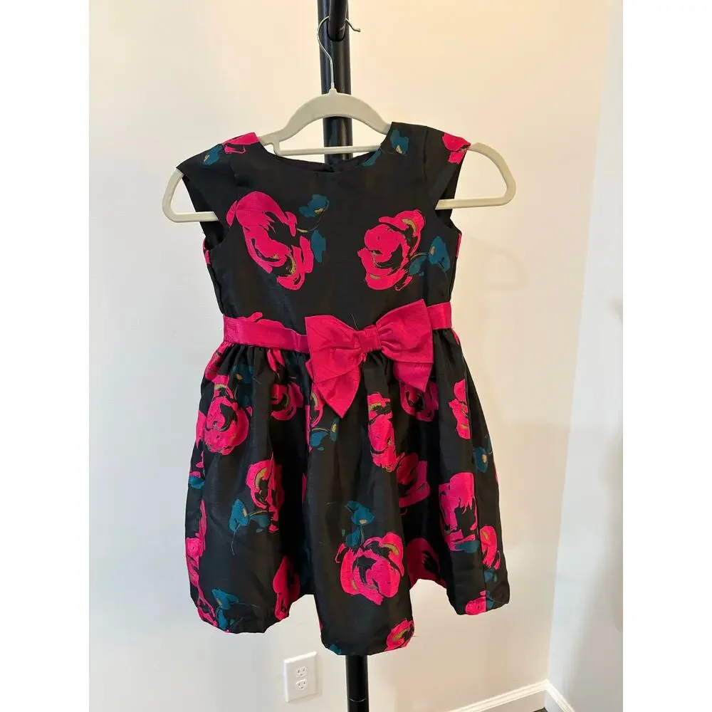 Gymboree Fun and Fancy Pink Rose Dress